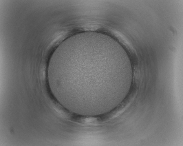 X0000115580501200911241515