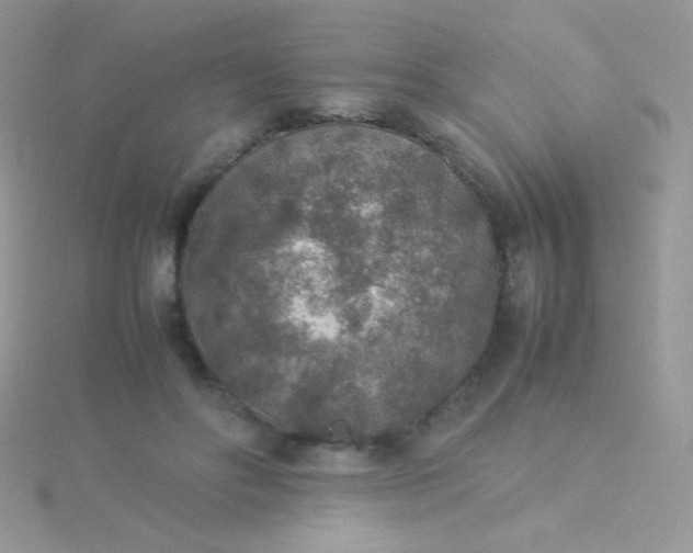 X0000115580502200911241515