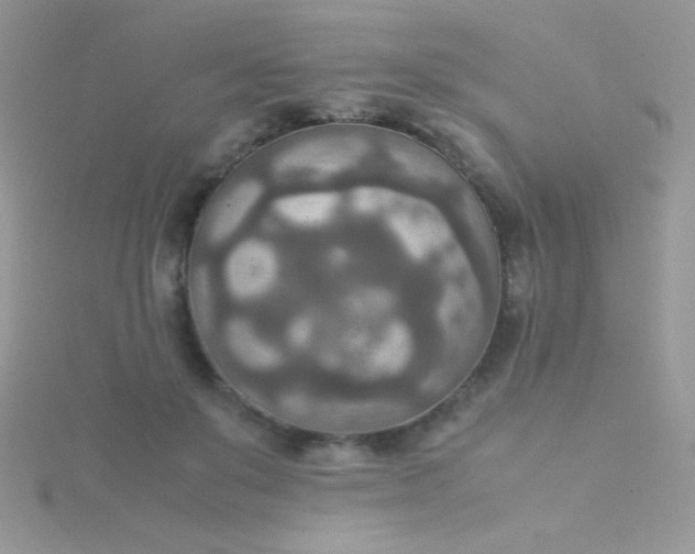 X0000115580503200911241515