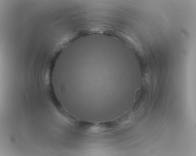 X0000115580504200911241515