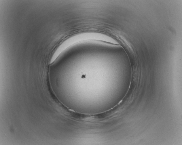 X0000115580505200911241515