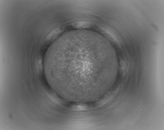 X0000115580506200911241515