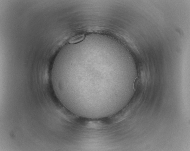 X0000115580508200911241515