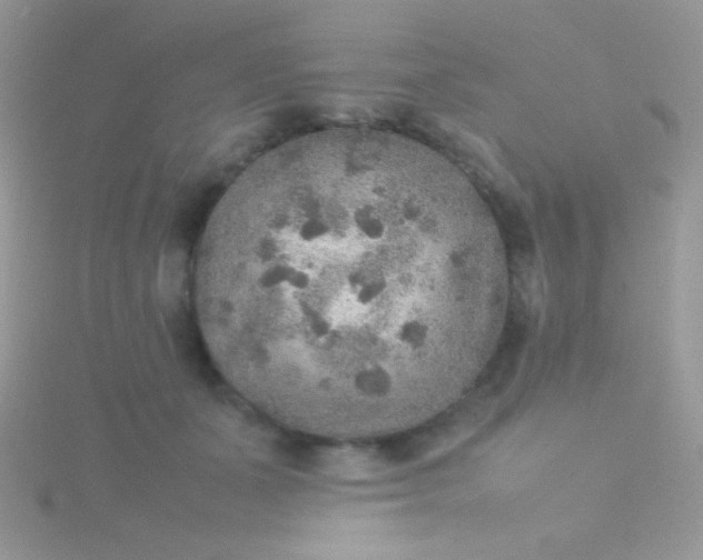 X0000115580511200911241515