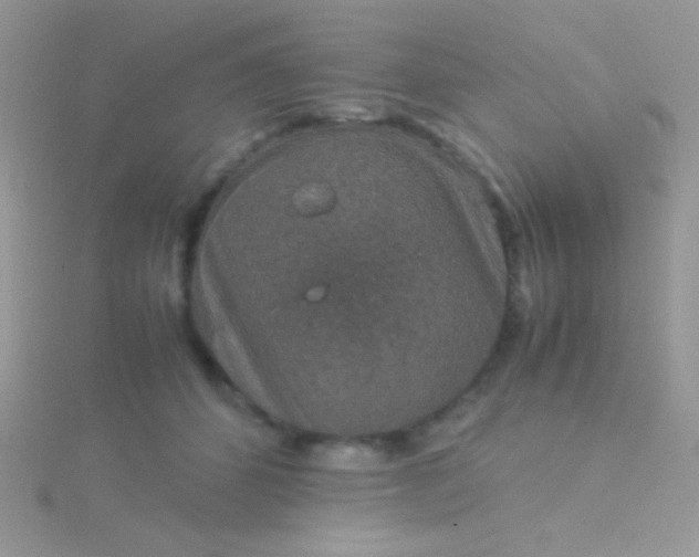 X0000115580512200911241515