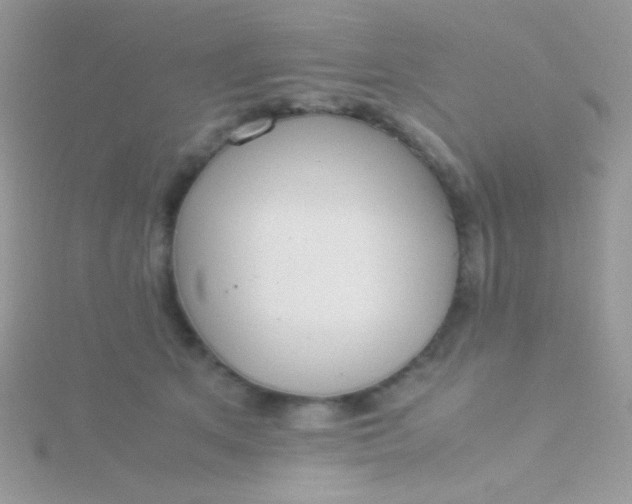 X0000115580513200911241515