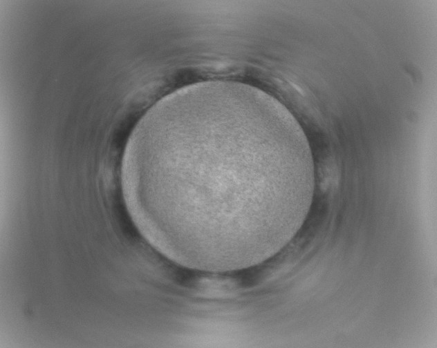 X0000115580515200911241515