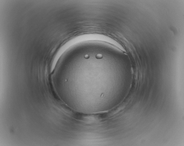 X0000115580516200911241515