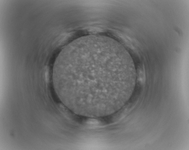 X0000115580519200911241515