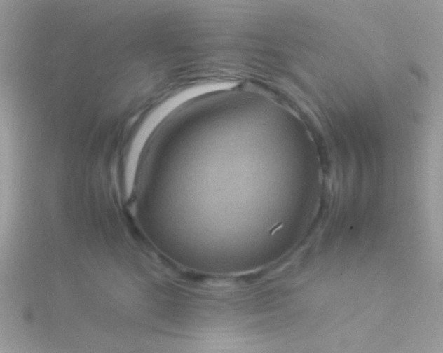 X0000115580520200911241515