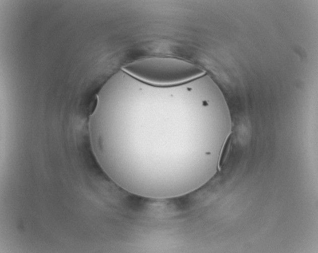 X0000115580521200911241515