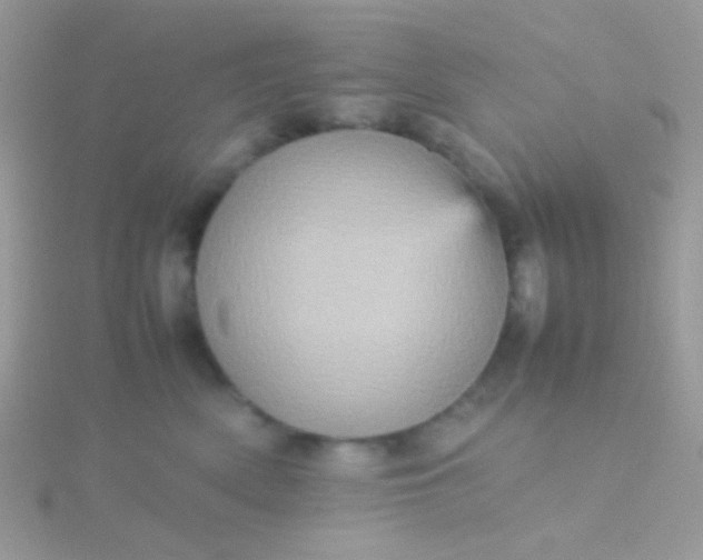 X0000115580522200911241515