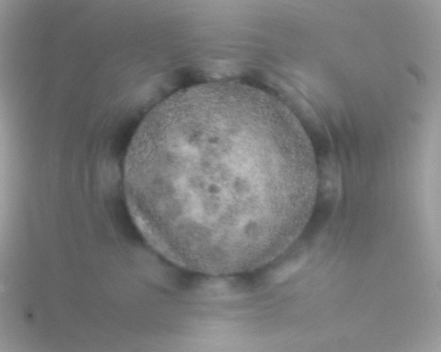 X0000115580523200911241515