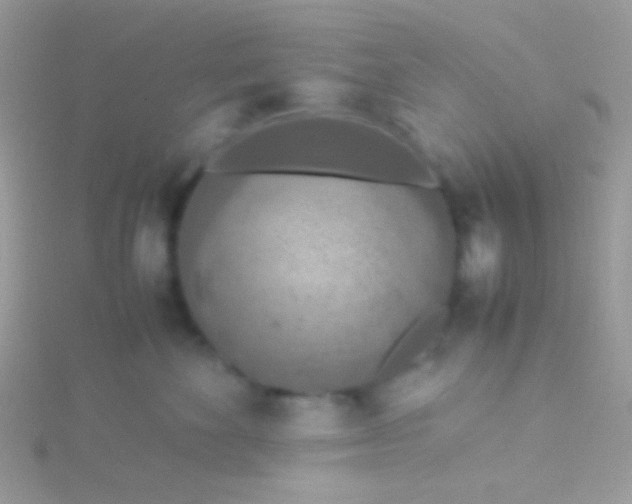 X0000115580524200911241515