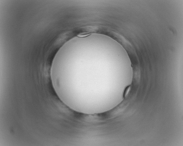 X0000115580525200911241515