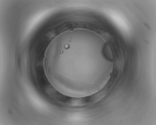 X0000115580526200911241515