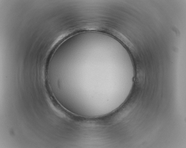 X0000115580530200911241514