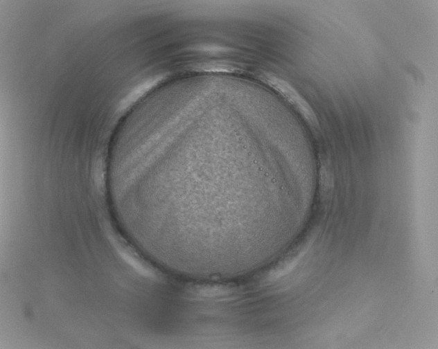 X0000115580533200911241514