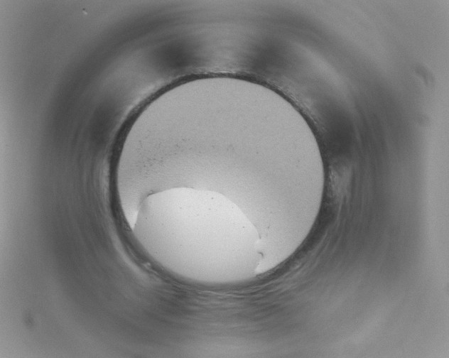 X0000115580534200911241514