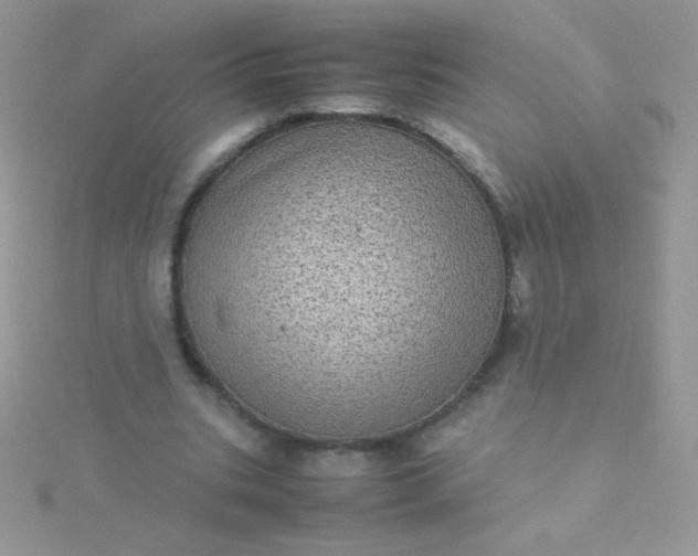 X0000115580535200911241514