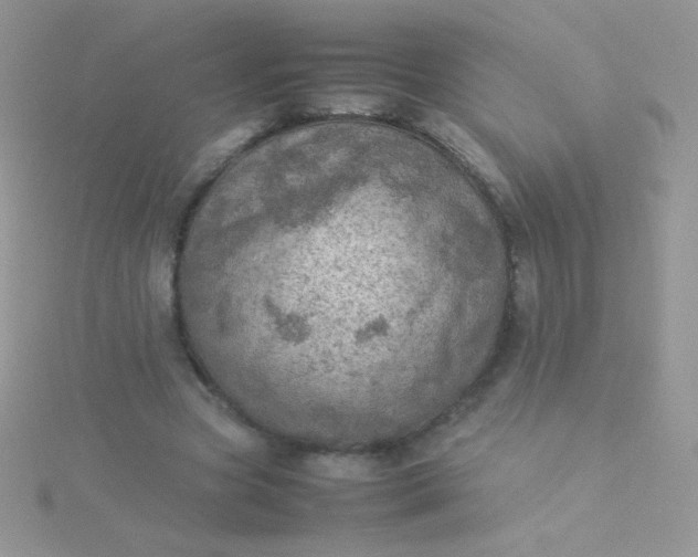 X0000115580537200911241514