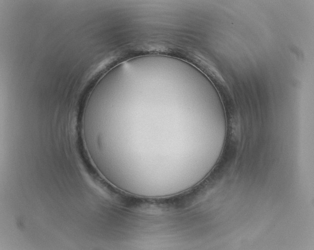 X0000115580538200911241514