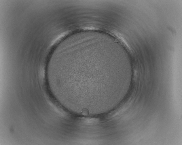 X0000115580539200911241515