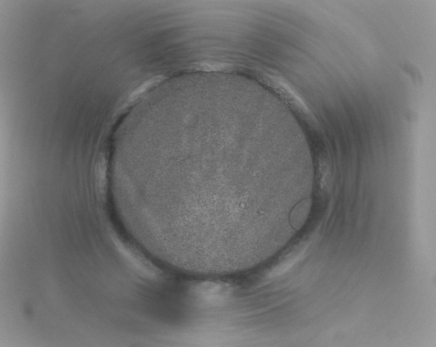 X0000115580542200911241515