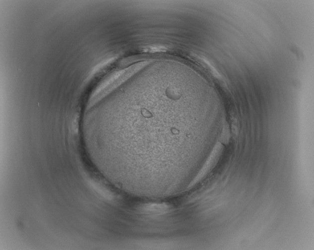 X0000115580543200911241515