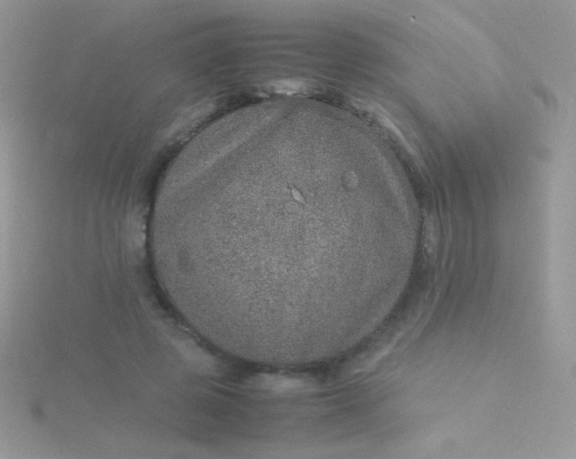 X0000115580545200911241515