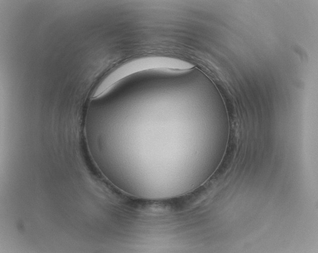 X0000115580546200911241515