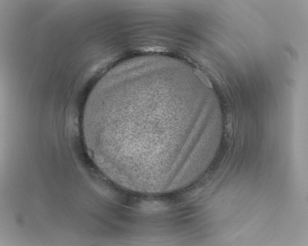 X0000115580547200911241515