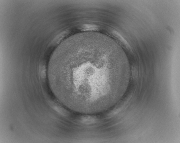 X0000115580549200911241515