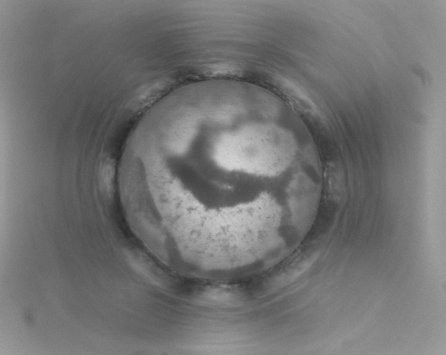 X0000115580550200911241515