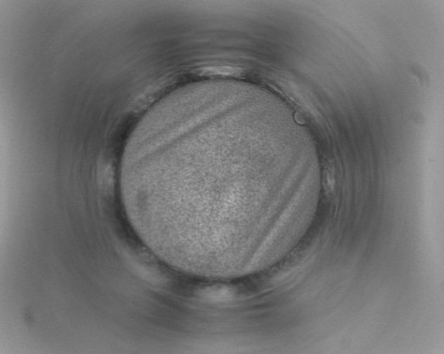 X0000115580551200911241515