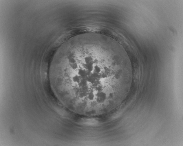 X0000115580553200911241515