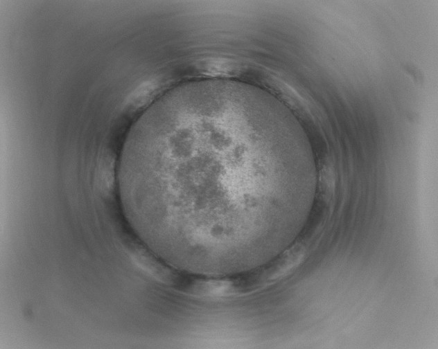 X0000115580554200911241515