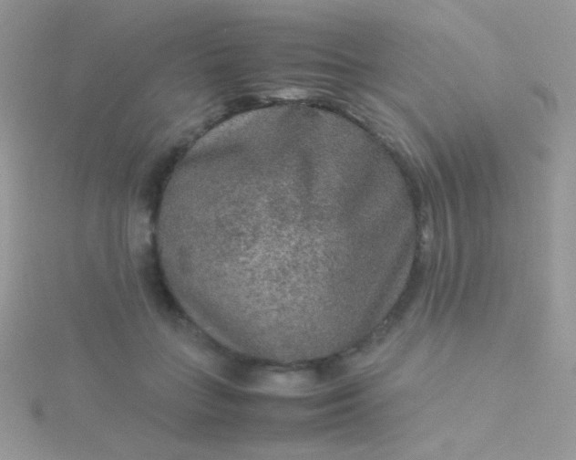 X0000115580555200911241515