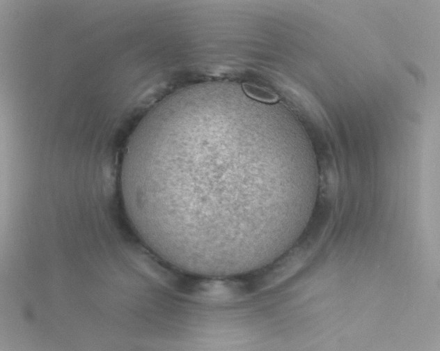 X0000115580558200911241515