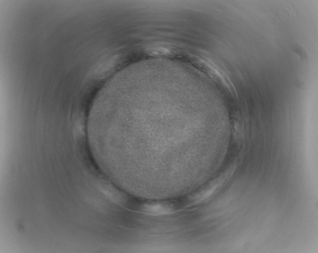 X0000115580561200911241515