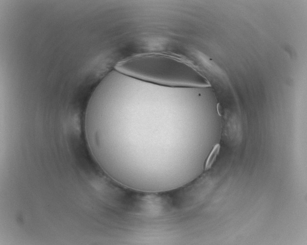 X0000115580562200911241515