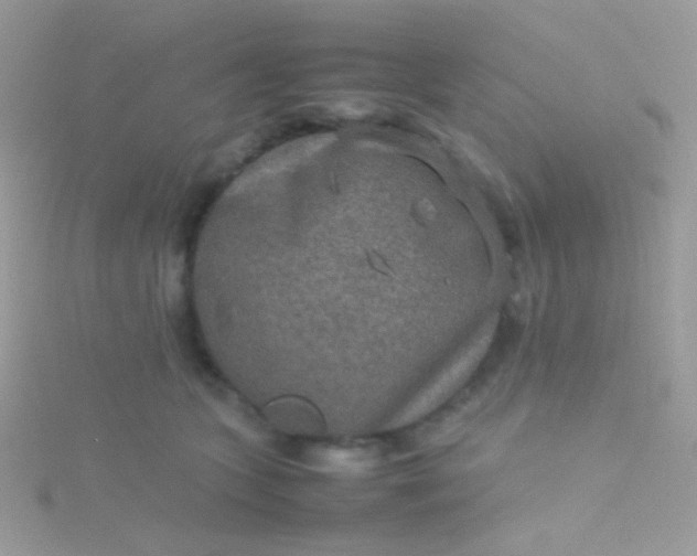 X0000115580563200911241515