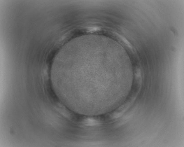 X0000115580565200911241515