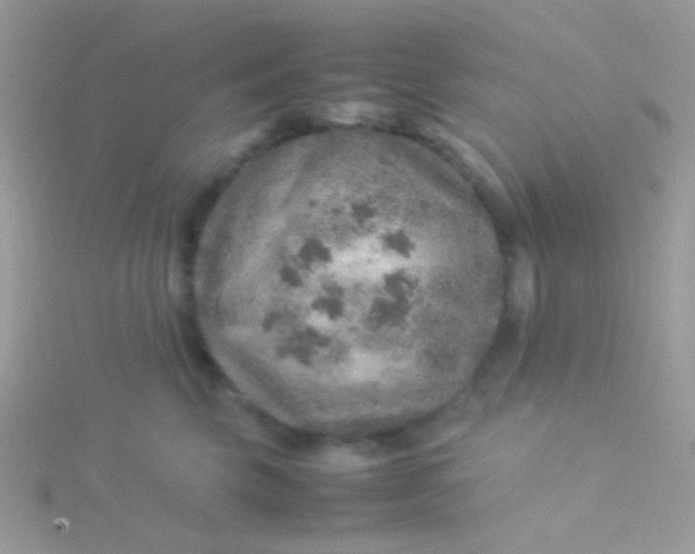 X0000115580569200911241515