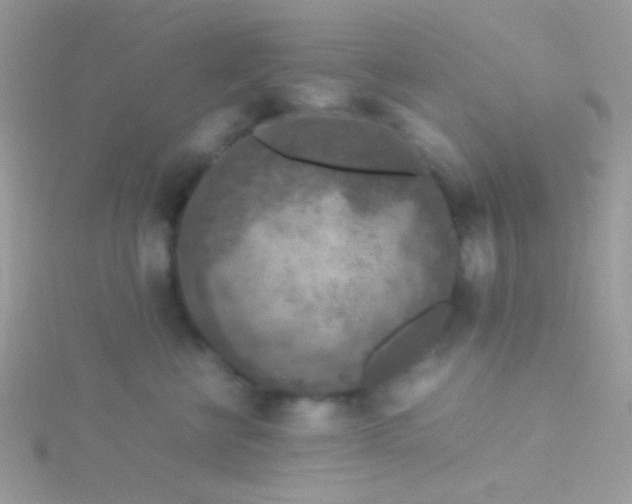 X0000115580570200911241515