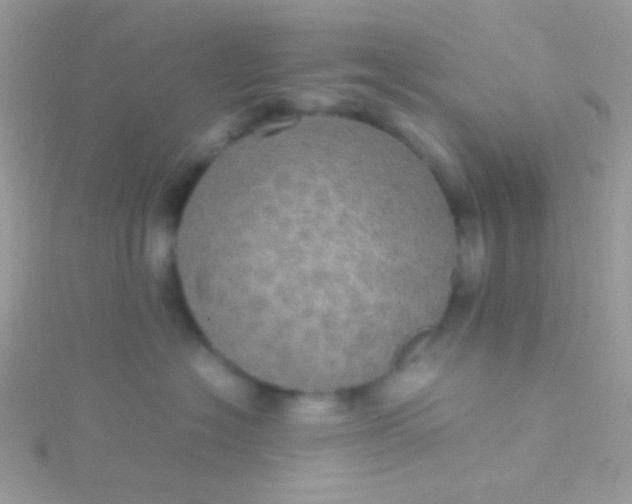 X0000115580574200911241515