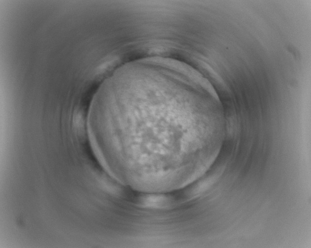 X0000115580575200911241515