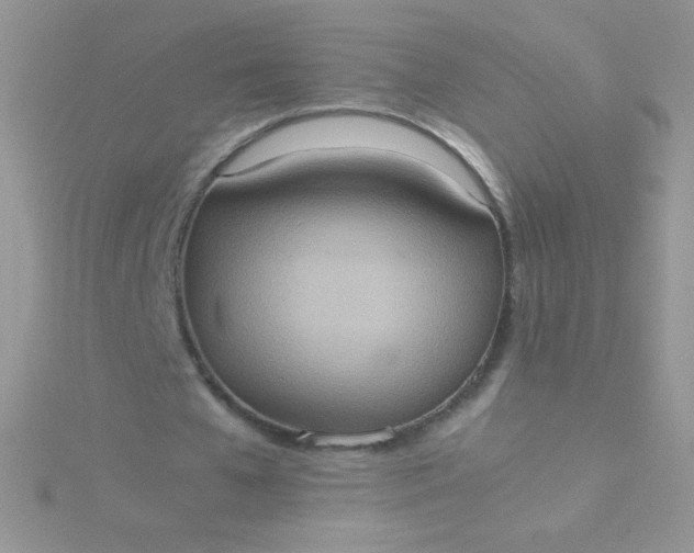 X0000115580577200911241514