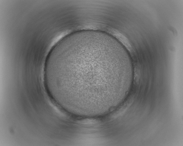 X0000115580578200911241514