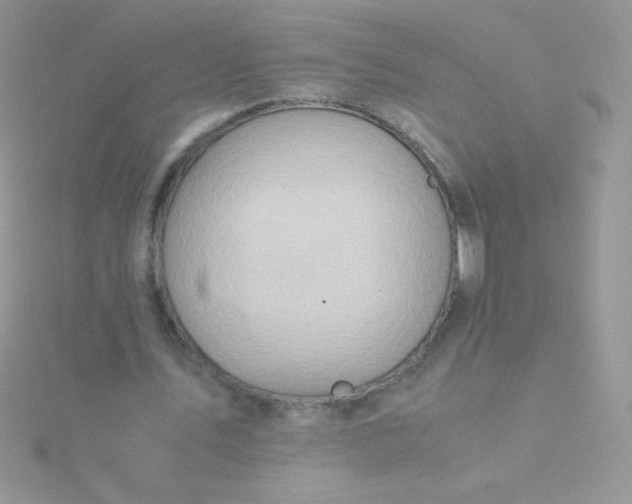 X0000115580579200911241514